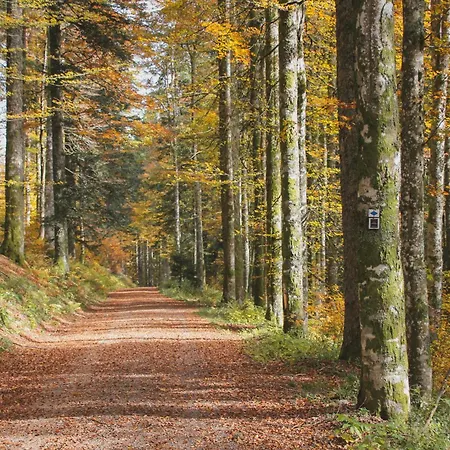 Schwarzwald-gasthof Rößle 4*