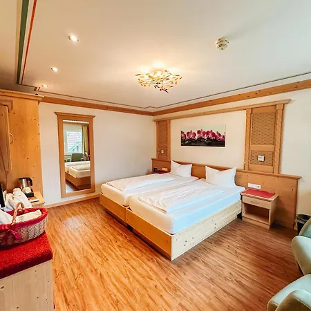 Schwarzwald-resort Roessle 托特莫斯