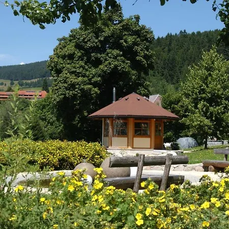 Schwarzwald-resort Roessle 托特莫斯
